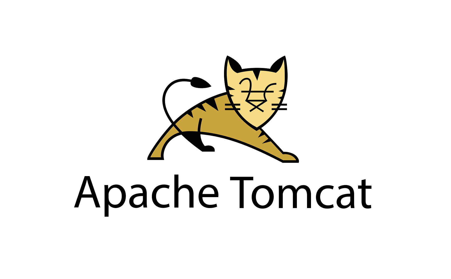 image from Apache Tomcat